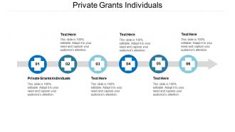 Private grants individuals ppt powerpoint presentation slides icons cpb