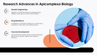 Research Advances In Apicomplexa Biology Apicomplexa Protozoa PPT PowerPoint ACP