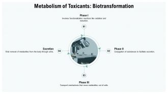 Understanding Toxicokinetic Processes In Toxicology PPT PowerPoint ST AI Researched Customizable