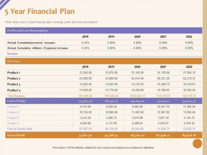 5 year financial plan loss assumption ppt powerpoint presentation icon show