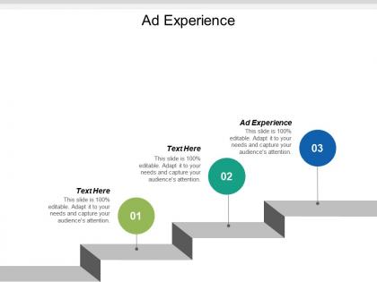 Ad experience ppt powerpoint presentation icon display cpb