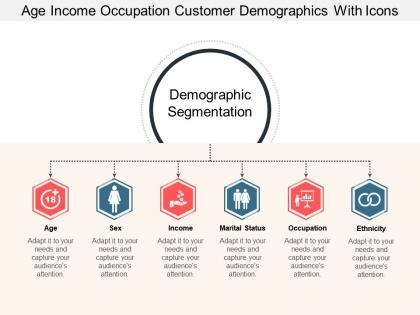 Age income occupation customer demographics with icons