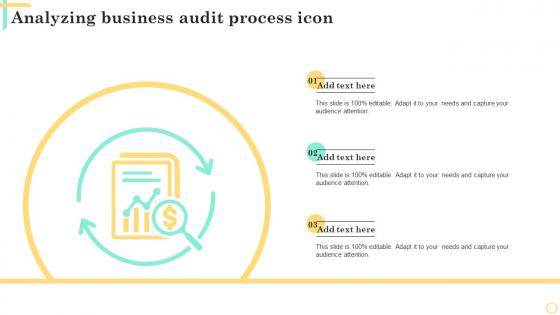 Analyzing Business Audit Process Icon
