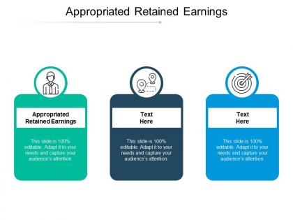 Appropriated retained earnings ppt powerpoint presentation icon format cpb