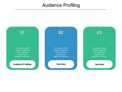 Audience profiling ppt powerpoint presentation model icon cpb