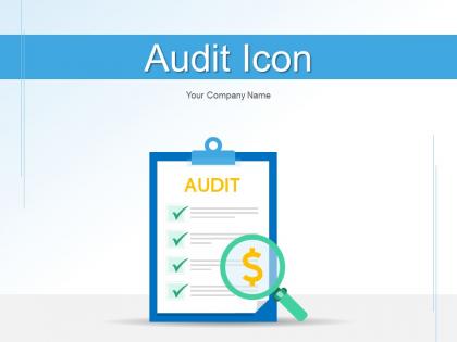Audit Icon Finance Investment Revenues Document Verification Opportunity