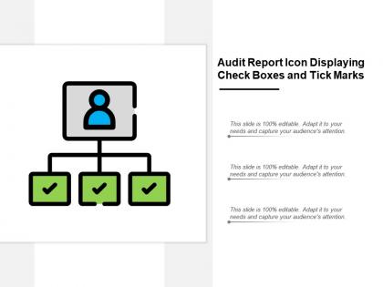 Audit report icon displaying check boxes and tick marks