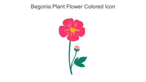 Begonia Plant Flower Colored Icon In Powerpoint Pptx Png And Editable Eps Format