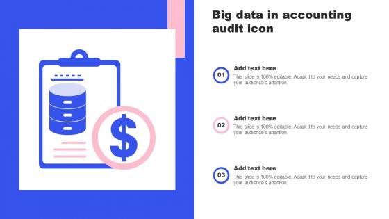 Big Data In Accounting Audit Icon
