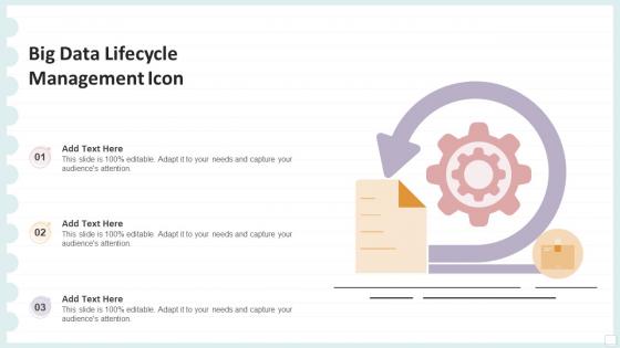 Big Data Lifecycle Management Icon