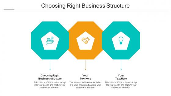 Choosing right business structure ppt powerpoint presentation icon format ideas cpb