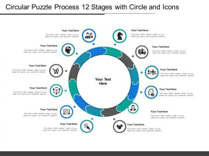 Circular puzzle process 12 stages with circle and icons