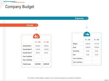 Company budget business expenses summary ppt icons