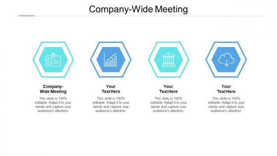 Company wide meeting ppt powerpoint presentation icon shapes cpb