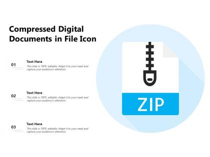 Compressed digital documents in file icon
