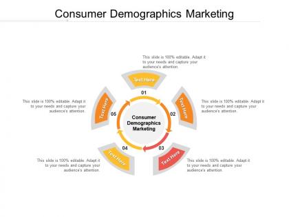 Consumer demographics marketing ppt powerpoint presentation icon graphics download cpb