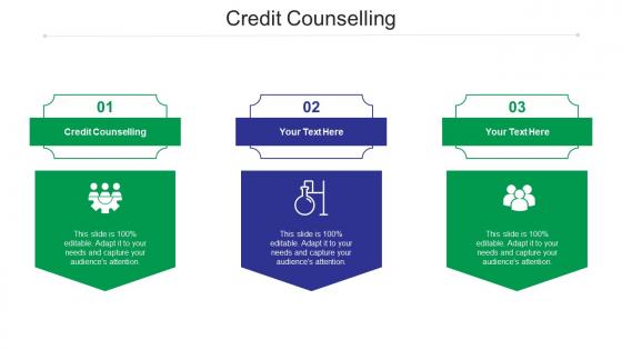 Credit counselling ppt powerpoint presentation icon template cpb