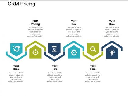 Crm pricing ppt powerpoint presentation layouts icons cpb