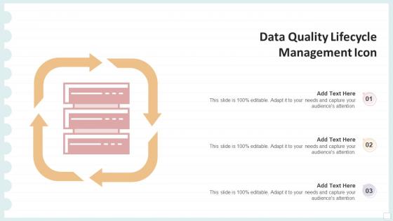 Data Quality Lifecycle Management Icon