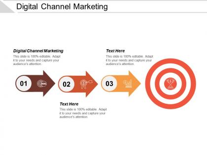 Digital channel marketing ppt powerpoint presentation icon background image cpb