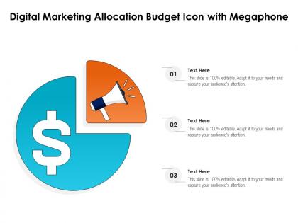 Digital marketing allocation budget icon with megaphone