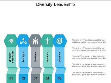 Diversity leadership ppt powerpoint presentation icon graphics cpb