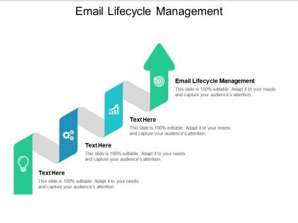 Email lifecycle management ppt powerpoint presentation icon styles cpb