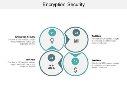 Encryption security ppt powerpoint presentation icon rules cpb