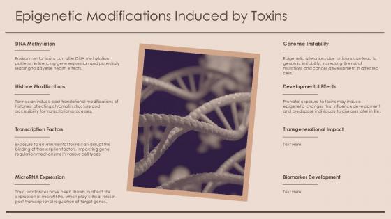 Epigenetic Modifications Induced By Toxins Toxicoepigenomics PPT Sample ST AI SS