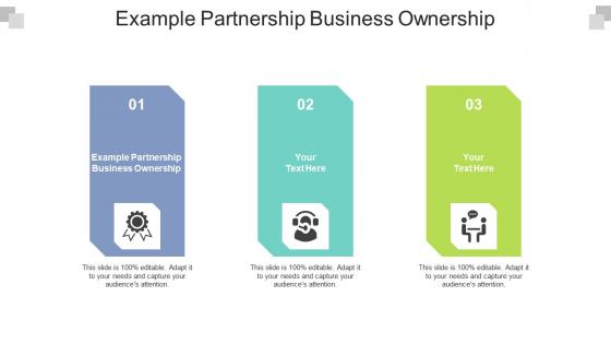 Example partnership business ownership ppt powerpoint presentation icon clipart cpb