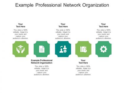 Example professional network organization ppt powerpoint presentation icon elements cpb