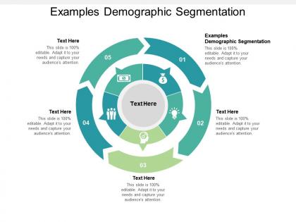 Examples demographic segmentation ppt powerpoint presentation icon cpb