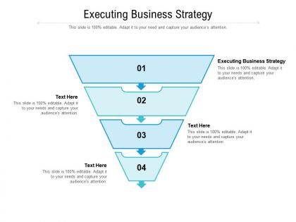 Executing business strategy ppt powerpoint presentation inspiration icons cpb