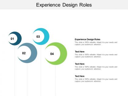 Experience design roles ppt powerpoint presentation icon layout cpb