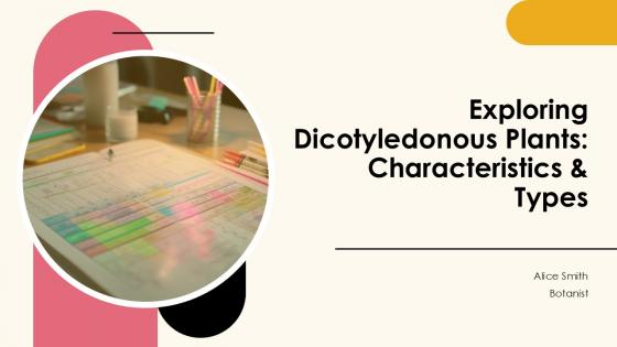 Exploring Dicotyledonous Plants Characteristics And Types PPT Sample ST AI