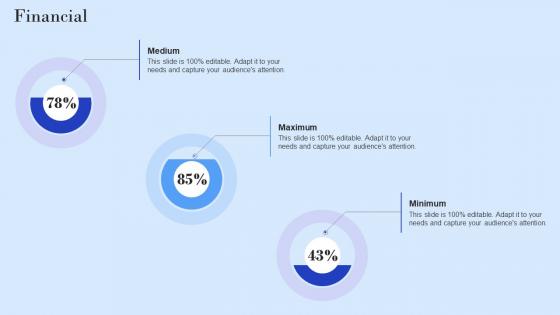 Financial Data Model Ppt Powerpoint Presentation Icon Rules