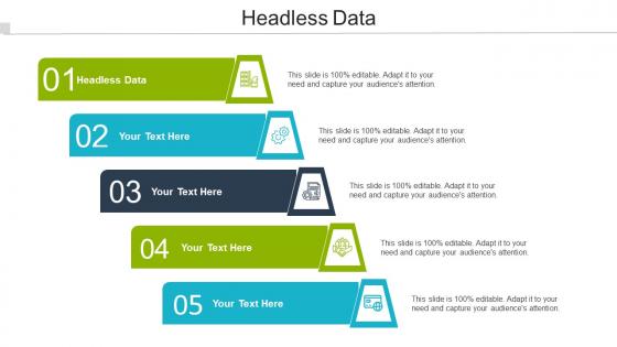 Headless Data Ppt Powerpoint Presentation Icon Styles Cpb