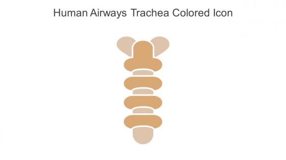 Human Airways Trachea Colored Icon In Powerpoint Pptx Png And Editable Eps Format