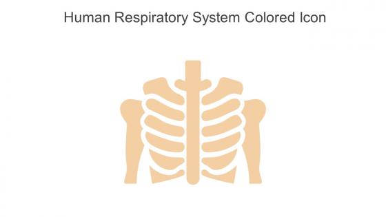 Human Respiratory System Colored Icon In Powerpoint Pptx Png And Editable Eps Format