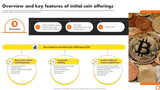 Ico Success Strategies Overview And Key Features Of Initial Coin Offerings BCT SS V