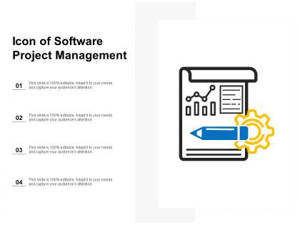 Icon of software project management