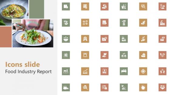 Icons Slide Food Industry Report IR SS V