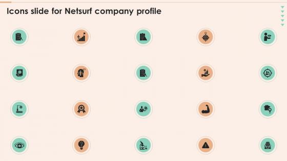 Icons Slide For Netsurf Company Profile Ppt Powerpoint Presentation Professional Example
