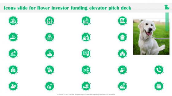 Icons Slide For Rover Investor Funding Elevator Pitch Deck