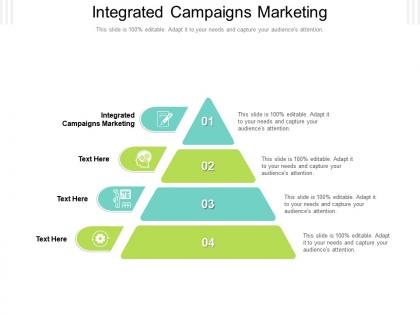 Integrated campaigns marketing ppt powerpoint presentation icon graphics design cpb