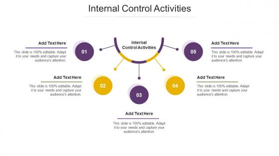 Internal Control Activities Ppt Powerpoint Presentation Icon Graphic Tips Cpb