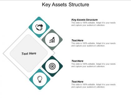 Key assets structure ppt powerpoint presentation icon visuals cpb
