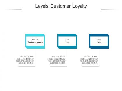 Levels customer loyalty ppt powerpoint presentation icon template cpb