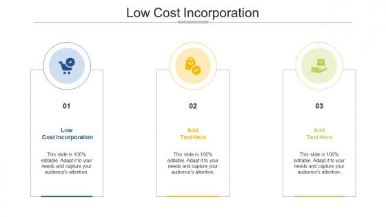 Low Cost Incorporation Ppt Powerpoint Presentation Icon Example Topics Cpb