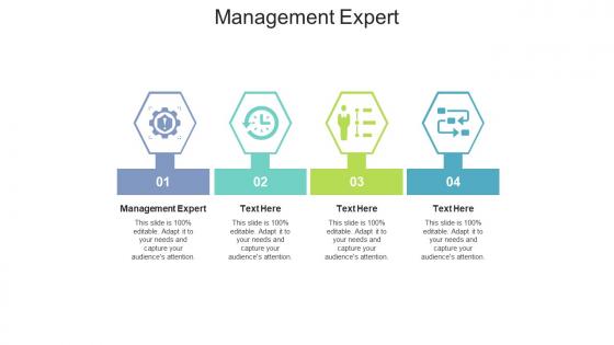 Management expert ppt powerpoint presentation icon slide download cpb